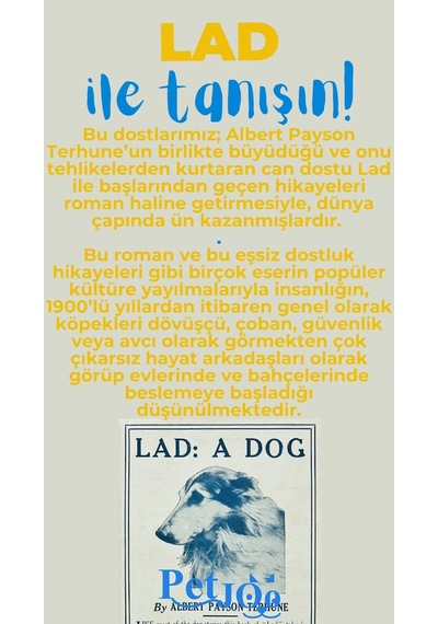 Petjoo 23.Lad Mavi-Sarı Qr'lı Köpek Künyesi