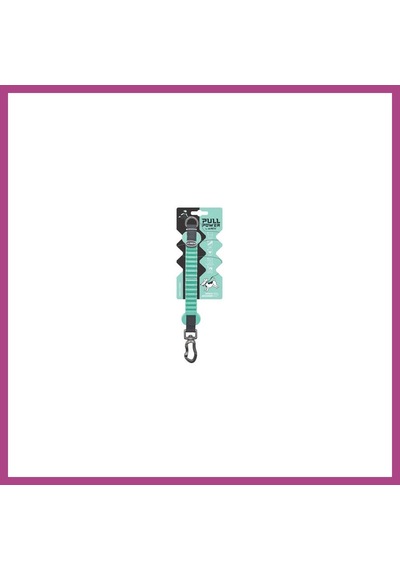 Gees Global Pull Power Köpekler İçin Şok Emici Ara Tasma Yeşil 25 Cm Gbzs