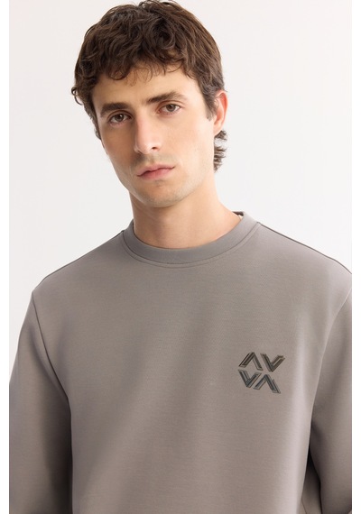 Avva Erkek Gri Bisiklet Yaka Pamuklu Bi-stretch Basic Regular Fit Sweatshirt A52y1328