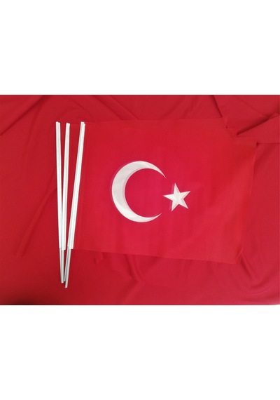 Çubuklu Türk Bayrağı 10 Adet 50 x 75CM