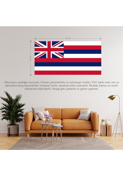 Havai Adaları Ülke Bayrağı 45x22cm Duvar Tablosu Çerçevesiz Pvc Tablo Diğer