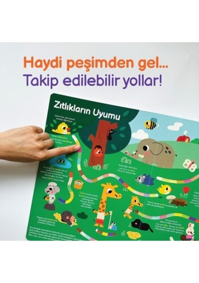 Tanıyorum - Genel Kitapım İle İlk Öğrenme Deneyimi