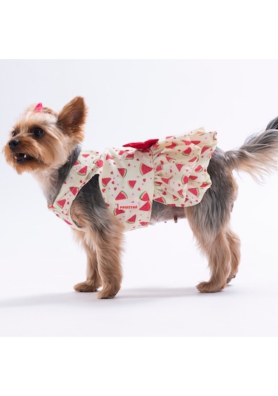 Berry Crush Meyve Desenli Kedi Köpek Elbisesi - Kedi Köpek Kıyafeti