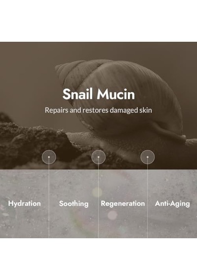 Mizon Snail Repair Intensive Toner 100ml Salyangoz Özlü Tonik