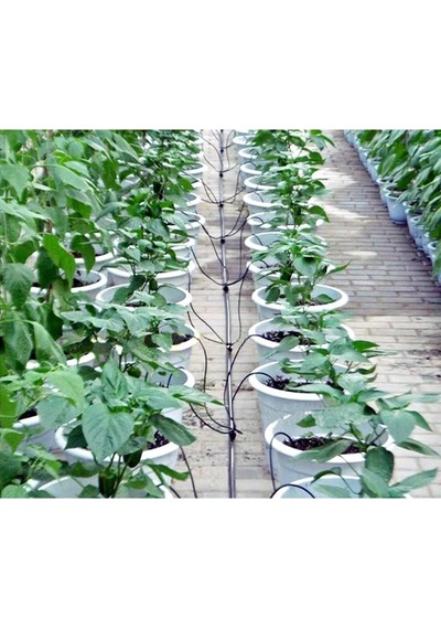 Saksı Sulama Ve Cocopeat Mikro Damlatıcı Aparat Seti