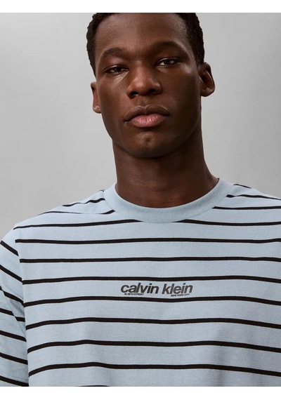 Calvin Klein Ss 16s Strıpe Easy L, Cdp Mavi Erkek T-shirt