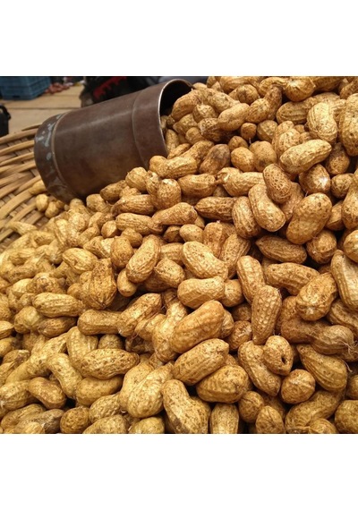 Yeni Hasat Taze Haşlamalık Çiğ Yer Fıstığı Yeni Söküm 3 Kg 3 KG