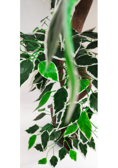 Rüzgar Yapay Çiçeçilik 150 Cm Ficus Ağacı Yeşil