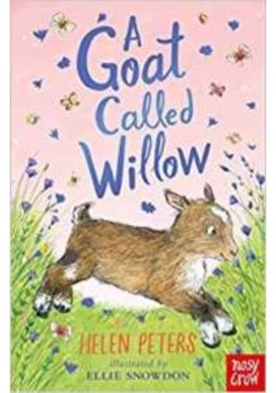 A Goat Called Willow 9781788000369