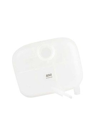 Bsg 65-550-003 Radyatör Yedek Su Deposu Astra H Bm 04 -