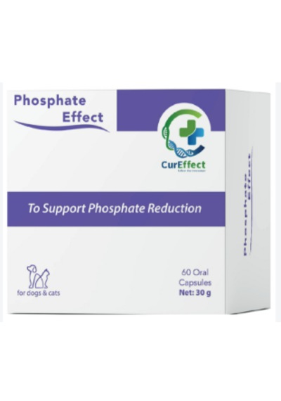 Phosphate Effect 60 Kapsül Kedi Köpek Böbrek Koruyucu Hiperfosfatemi Önleyici Renal Takviye