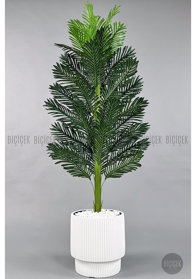 Yapay Areka Ağacı 160-180 Cm H