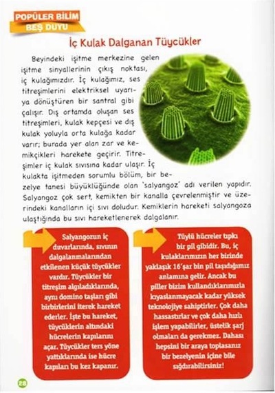 Popüler Bilim Vücudumuz Dizisi - Beş Duyumuz - Sema Gül - Timaş Çocuk