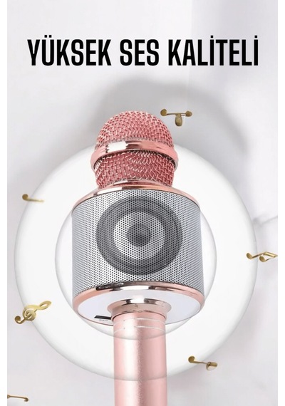 Taşınabilir Bluetooth Karaoke Mikrofon: Hafıza Kart Girişli, Etkileyici -
