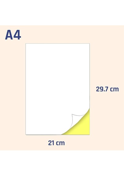 Nexup Label A4 Etiket Yapışkanlı 100 Sayfa Adres Etiketi 210x297 Mm - 100 Sayfa Çok Amaçlı Universal Etiketler - Adres Etiketler - Beyaz Etiket Diğer Nexup Label A4 Etiket Yapışkanlı 100 Sayfa Adres Etiketi 210x297 Mm - 100 Sayfa Çok Amaçlı Universal Etiketler - Adres Etiketler - Beyaz Etiket Diğer