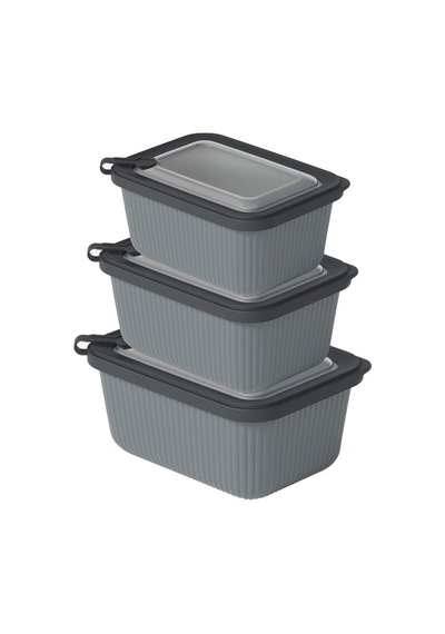 Plastik Saklama Kabı Seti - Mikrodalga Uyumlu Dikdörtgen 600/1100/1800 Ml Çok Renkli
