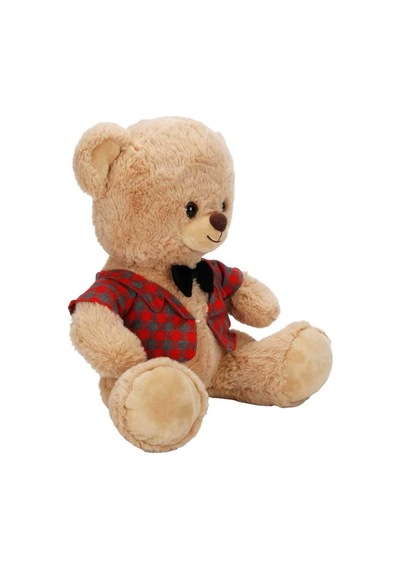4810 Peluş Ayı Elbiseli 32cm 2a