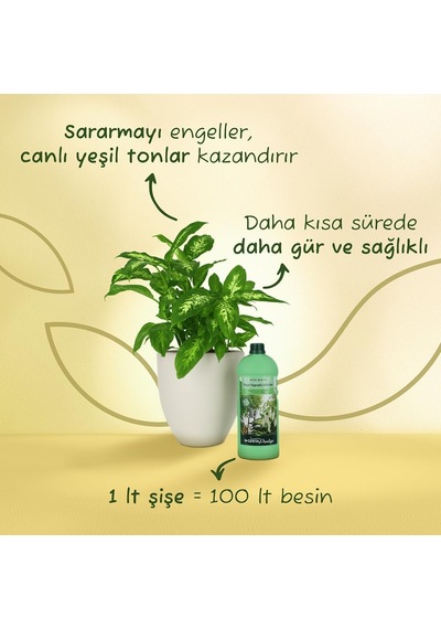 Yeşil Yapraklı Bitkiler İçin Sıvı Bitki Besini Sıvı Gübre 1000 Ml 0,250
