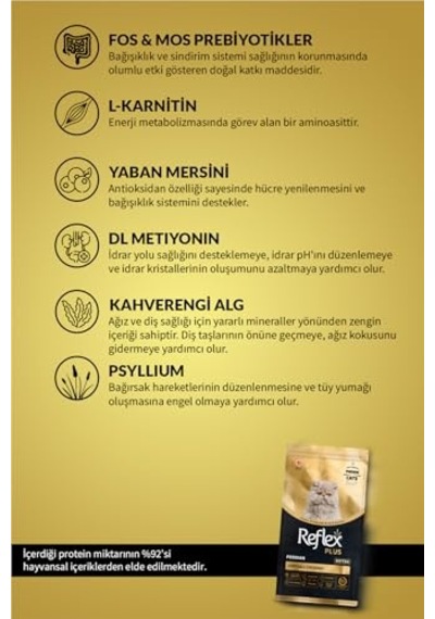 2As Plus Persian Yavru Kedi Si 1.5 Kg 12 Gri