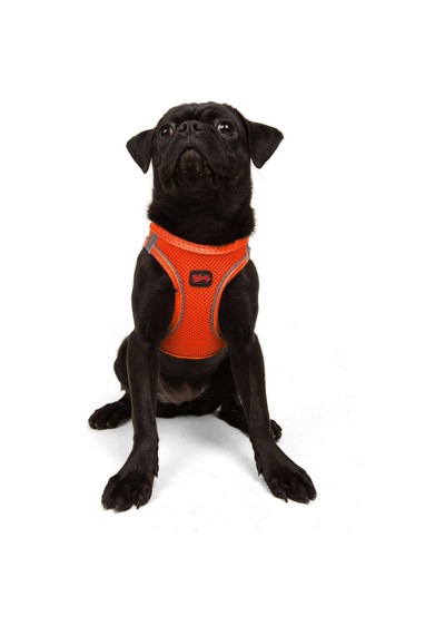 Tailpetz Air-mesh Küçük Ve Orta Irk Kedi Köpek Göğüs Tasması - Yumuşak, Nefes Alabilir, Dayanıklı Neon-turuncu, Medium Sku: Zeusb0829cqk65 Açık Bej - Bej