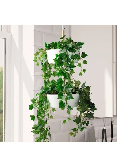 Ikea Fejka Saksılı Yapay Sarmaşık 69 Cm Siyah Koyu Yeşil Siyah - Yeşil