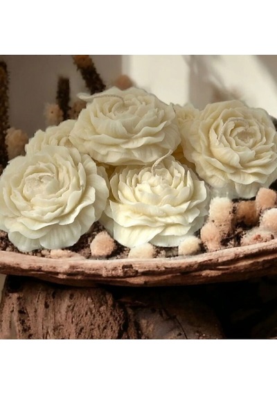 Bernami Mum Pinterest Dekoratif Şakayık Çiçeği Vanilya Kokulu 2li Mum-çiçek Mum-kokulu Mum Diğer