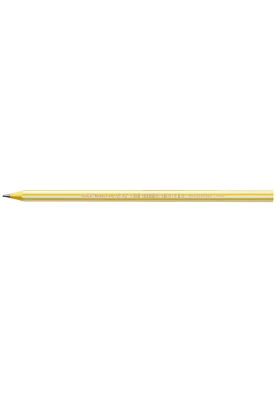 Bic Evolution Stripes Kurşun Kalem 12'li Kutu