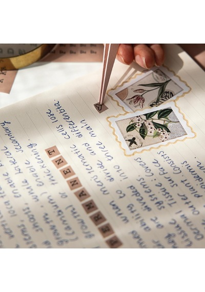 Tr A5 18 Yaprak The Typewriter Sticker Book Alfabe, Rakam Ve Noktalama İşaretleri Seti 1