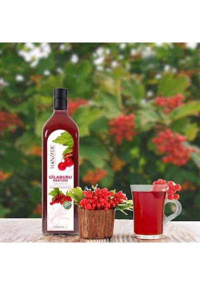 Hanzade Bitkisel Gilaburu Suyu Nektarı Şekersiz 3 x 1 L