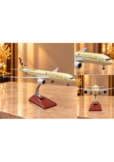 Özel Üretim Raf Uçak Model Metal Etihad Airways Yolcu Uçağı Maketi Standlı Dekoratif