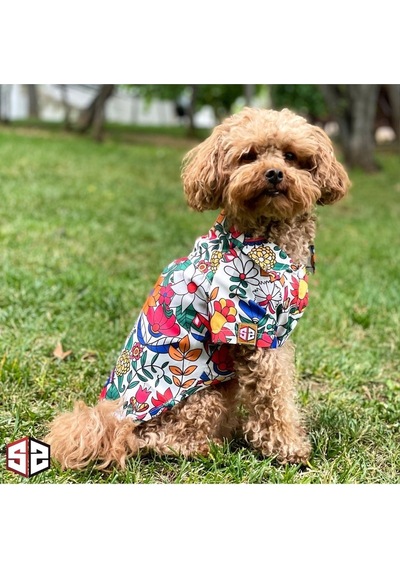 Salya Store Hawaii - Terrycotton Yazlık Köpek Gömleği Küçük Irk