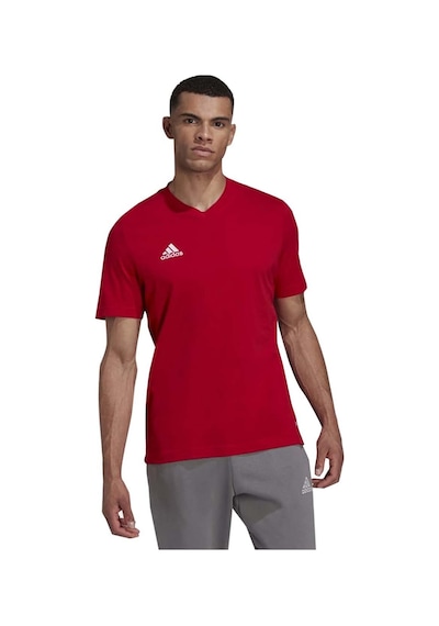 Adidas Hc0451 Ent22 Tee Tişört Kırmızı Kırmızı Adidas Hc0451 Ent22 Tee Tişört Kırmızı Kırmızı