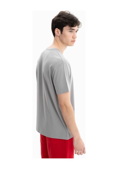 AR-MA Arma Erkek Regular Fit Örme Süprem Penye Bisiklet Yaka Tişört Y27344471501 Gri