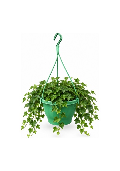 Yeşil Makrome Saksı 3 Adet 2.5 Lt / 21 Cm Askı Dahil 50 Cm