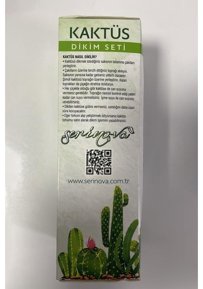 4 Parça Kaktüs Dikim Seti - Bitki Dikme Seti - Siyah