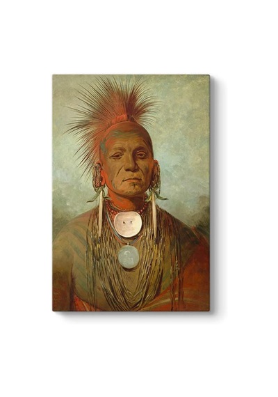 Ayrex George Catlin - Medicine Man Kanvas Tablo 30 X 45 Diğer