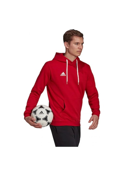Adidas Tepore Ent22 Hoody Null