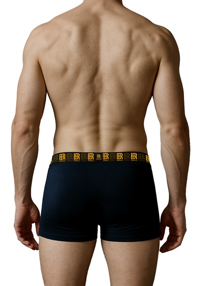 Maksfd Erkek 3 Lü Pamuklu Boxer Set Rahat Ve Esnek İç Giyim Erkek Boxer - Brros Modeli Lacivert Maksfd Erkek 3 Lü Pamuklu Boxer Set Rahat Ve Esnek İç Giyim Erkek Boxer - Brros Modeli Lacivert
