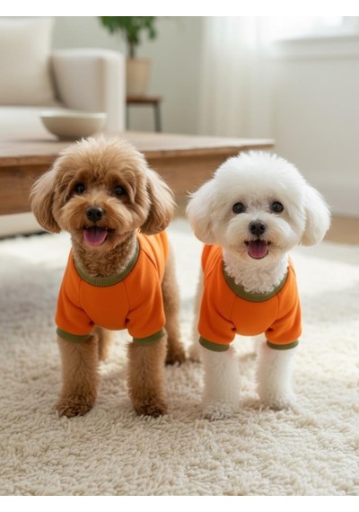 Kemique Ice Cream And Pineapple Turuncu Haki Köpekler İçin Polar Sweatshirt