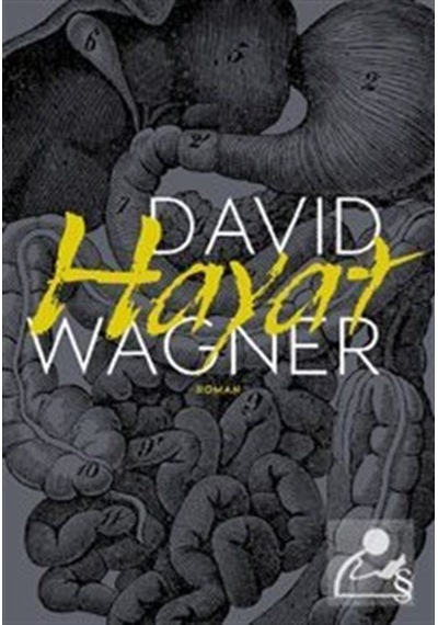 Hayat - David Wagner - Everest Yayınları