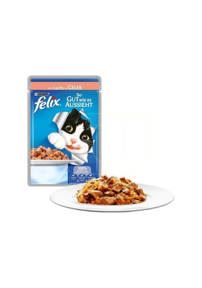 Somonlu Pouch Konserve Kedi Maması 12 Adet