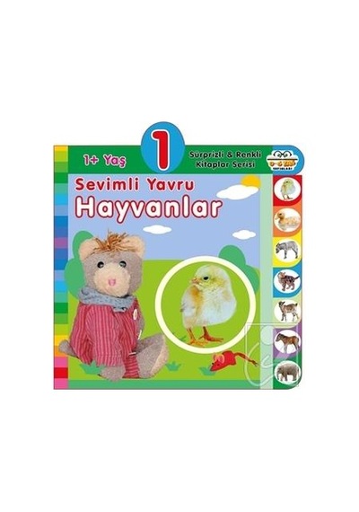 1+ Yaş Sevimli Yavru Hayvanlar