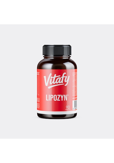 Vitafy - Lipozyn 90 Tablets Aromasız
