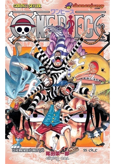 One Piece 55. Cilt / Cehennemdeki Umut Işığı / Eiiçiro Oda