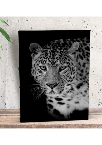 Bk Gift Leopar Tasarımlı Dekoratif Mini Kanvas Tablo 15X20Cm-1 (506660915)