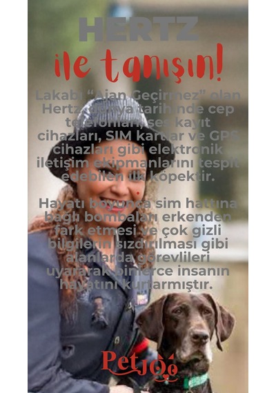 Petjoo 26.Hertz Kırmızı-Gri Qr'lı Köpek Künyesi