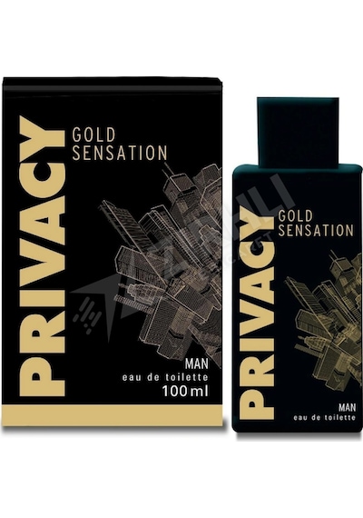 4 Adet Privacy Edt Gold Men 100 Ml Diğer