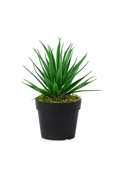 Siyah Mini Plastik Saksıda Yapay Aloe Vera Çiçeği