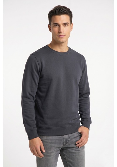 Baglan Erkek Sıfıyaka Sweatshirt Regular Kalıp Bgl-st05411 Antrasit