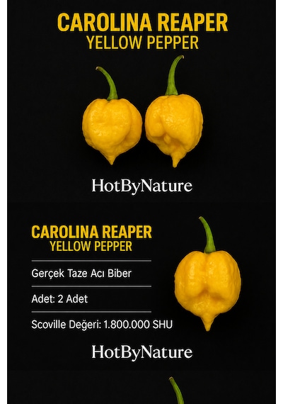 Carolına Reaper Yellow Pepper / 1.8 Milyon Scoville - Gerçek Taze Acı Biber